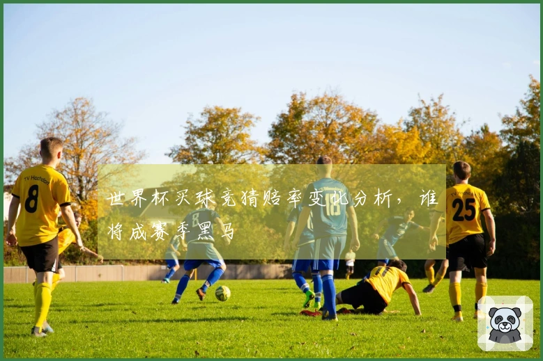 世界杯买球竞猜赔率变化分析，谁将成赛季黑马