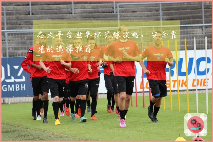 各大平台世界杯买球攻略，安全靠谱的选择推荐