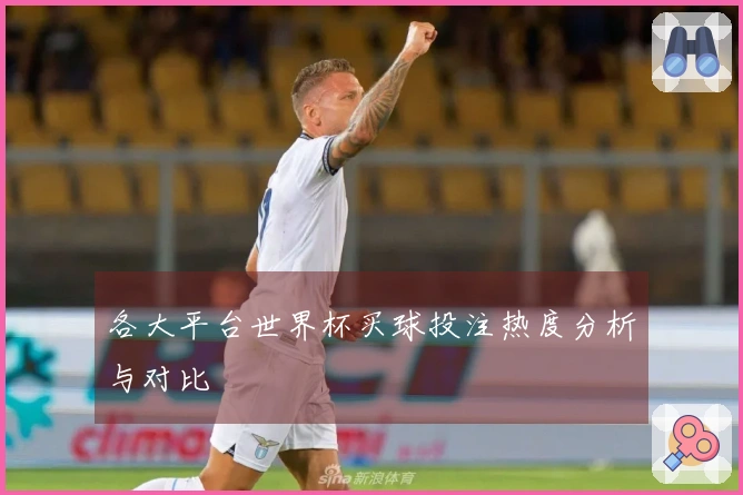 各大平台世界杯买球投注热度分析与对比