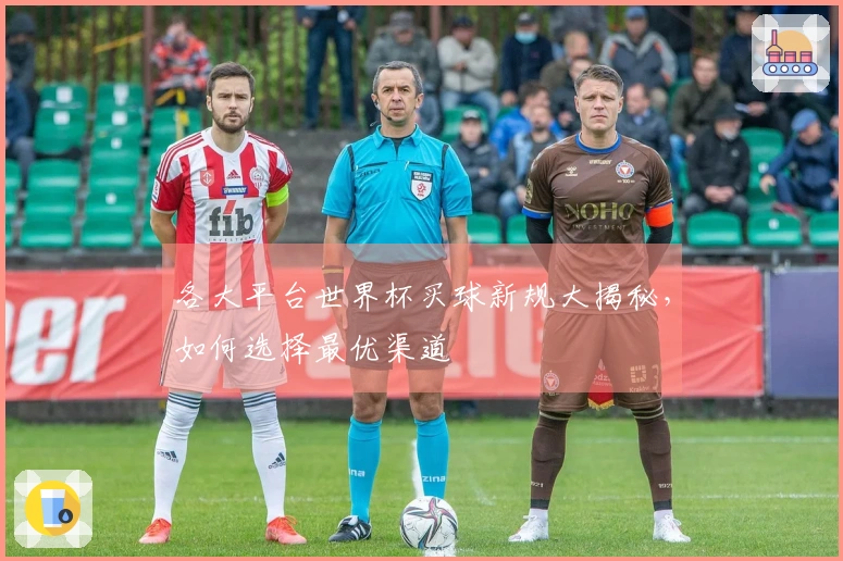 各大平台世界杯买球新规大揭秘，如何选择最优渠道