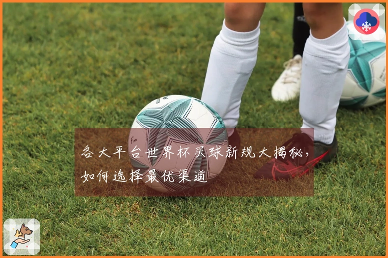 各大平台世界杯买球新规大揭秘，如何选择最优渠道