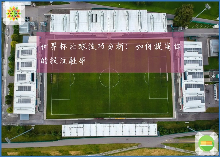 世界杯让球技巧分析：如何提高你的投注胜率