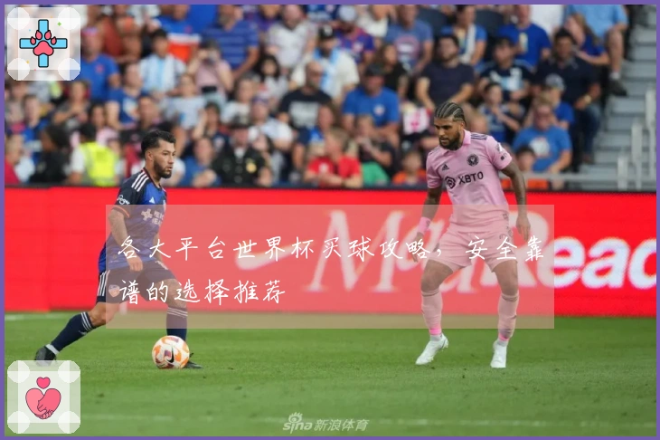 各大平台世界杯买球攻略，安全靠谱的选择推荐