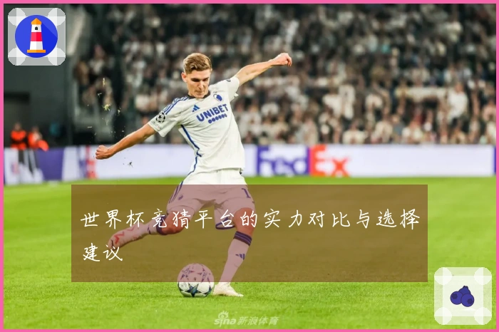 世界杯竞猜平台的实力对比与选择建议