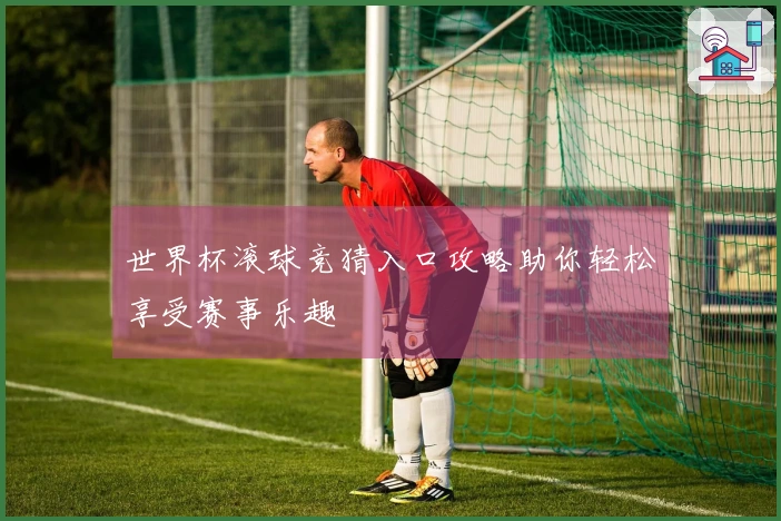 世界杯滚球竞猜入口攻略助你轻松享受赛事乐趣