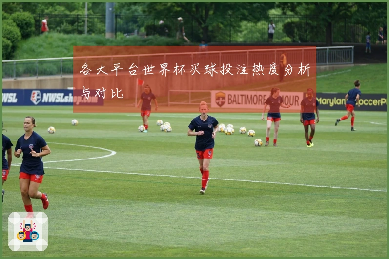 各大平台世界杯买球投注热度分析与对比