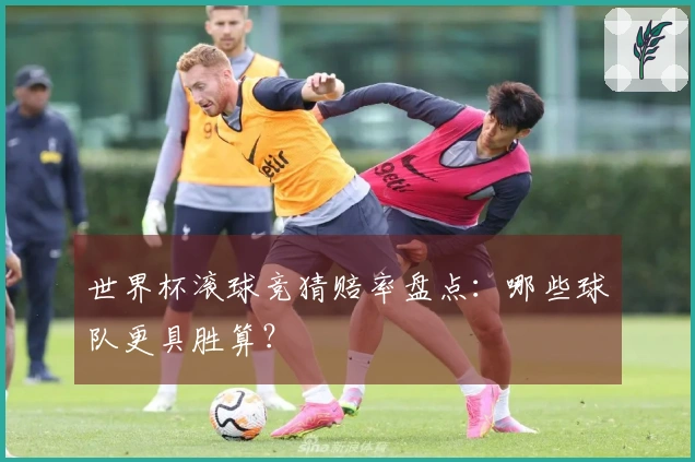 世界杯滚球竞猜赔率盘点：哪些球队更具胜算？