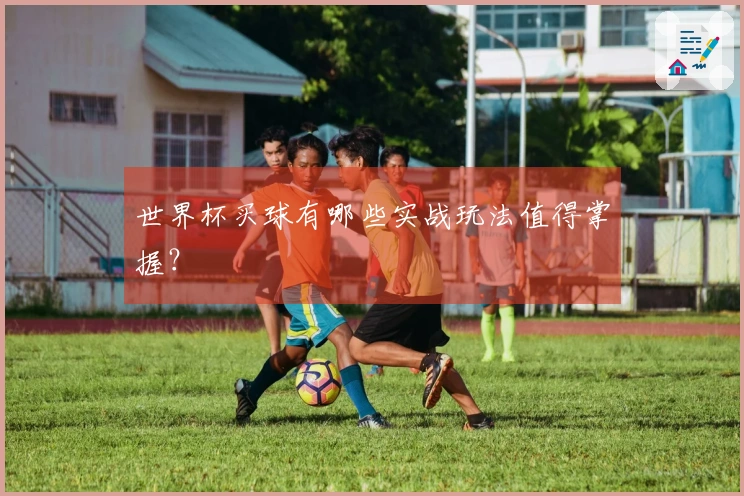 世界杯买球有哪些实战玩法值得掌握？