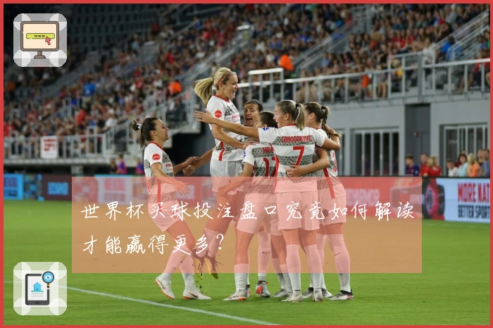 世界杯买球投注盘口究竟如何解读才能赢得更多？