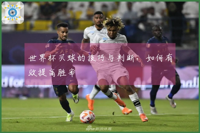 世界杯买球的技巧与判断，如何有效提高胜率