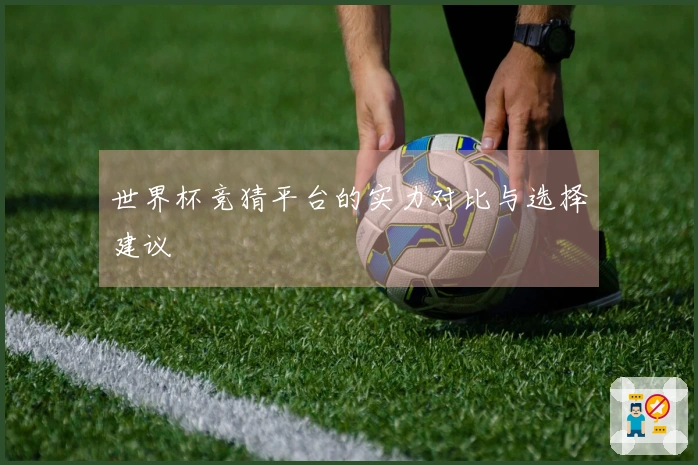 世界杯竞猜平台的实力对比与选择建议