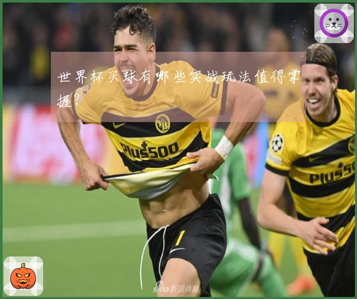 世界杯买球有哪些实战玩法值得掌握？