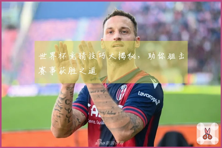 世界杯竞猜技巧大揭秘，助你狙击赛事获胜之道
