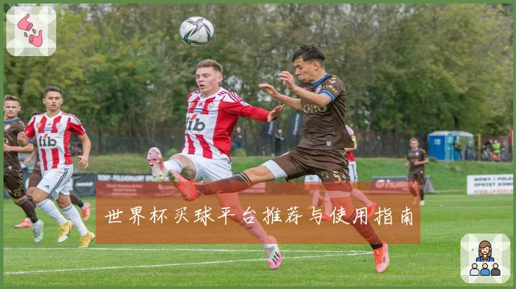 世界杯买球平台推荐与使用指南