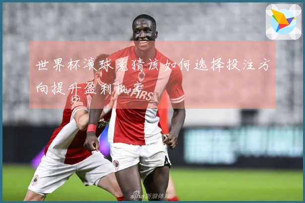 世界杯滚球竞猜该如何选择投注方向提升盈利机率